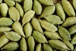Cardamom (Elettaria Cardamomum) -Garden Supplies Sales 2024 0155d9 bd2e6558ee5a48caa276691abb5c3ead mv2 d 2800 1863 s 2