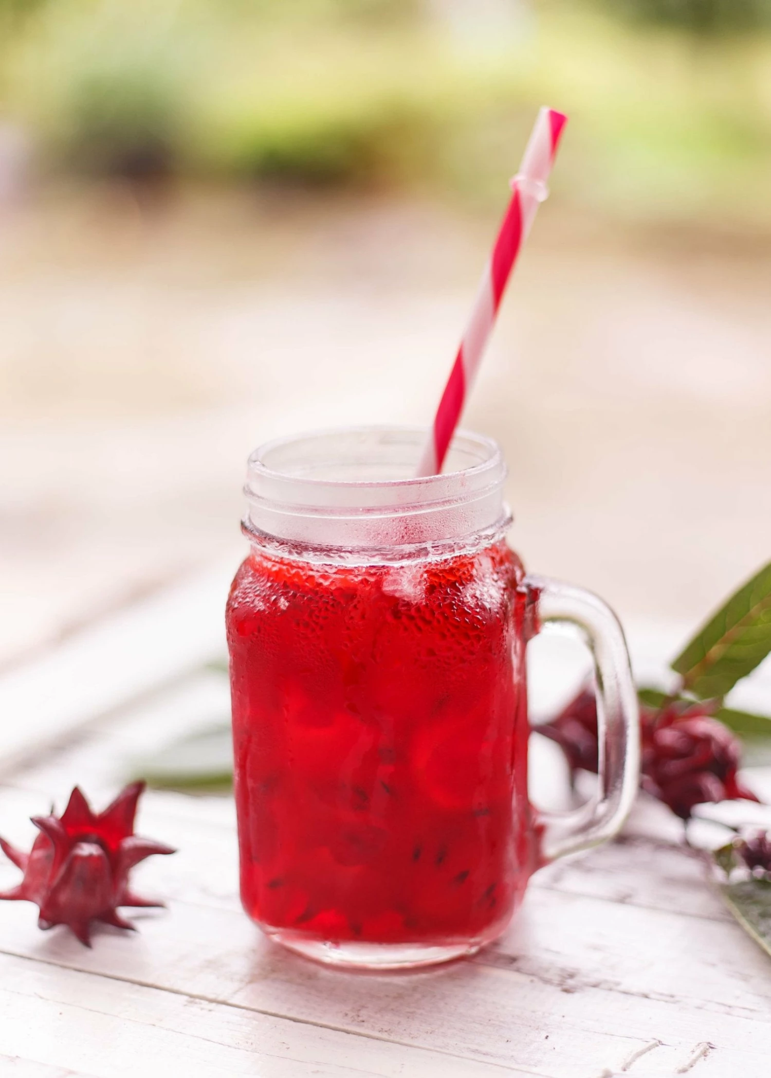 Florida Cranberry (Hibiscus Sabdariffa) 4 Florida Cranberry (Hibiscus Sabdariffa) - Image 4