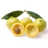Rose Apple (Syzygium Jambos)