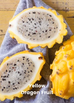 Dragon Fruit Bundle: 'Edgar's Baby' Dragon Fruit & Sweet Yellow Dragon Fruit -Garden Supplies Sales 2024 1 8