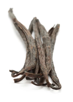 Vanilla Bean Orchid (Vanilla Planifolia) -Garden Supplies Sales 2024 1 ff94045c ea65 4352 bc86 7114e691db4f