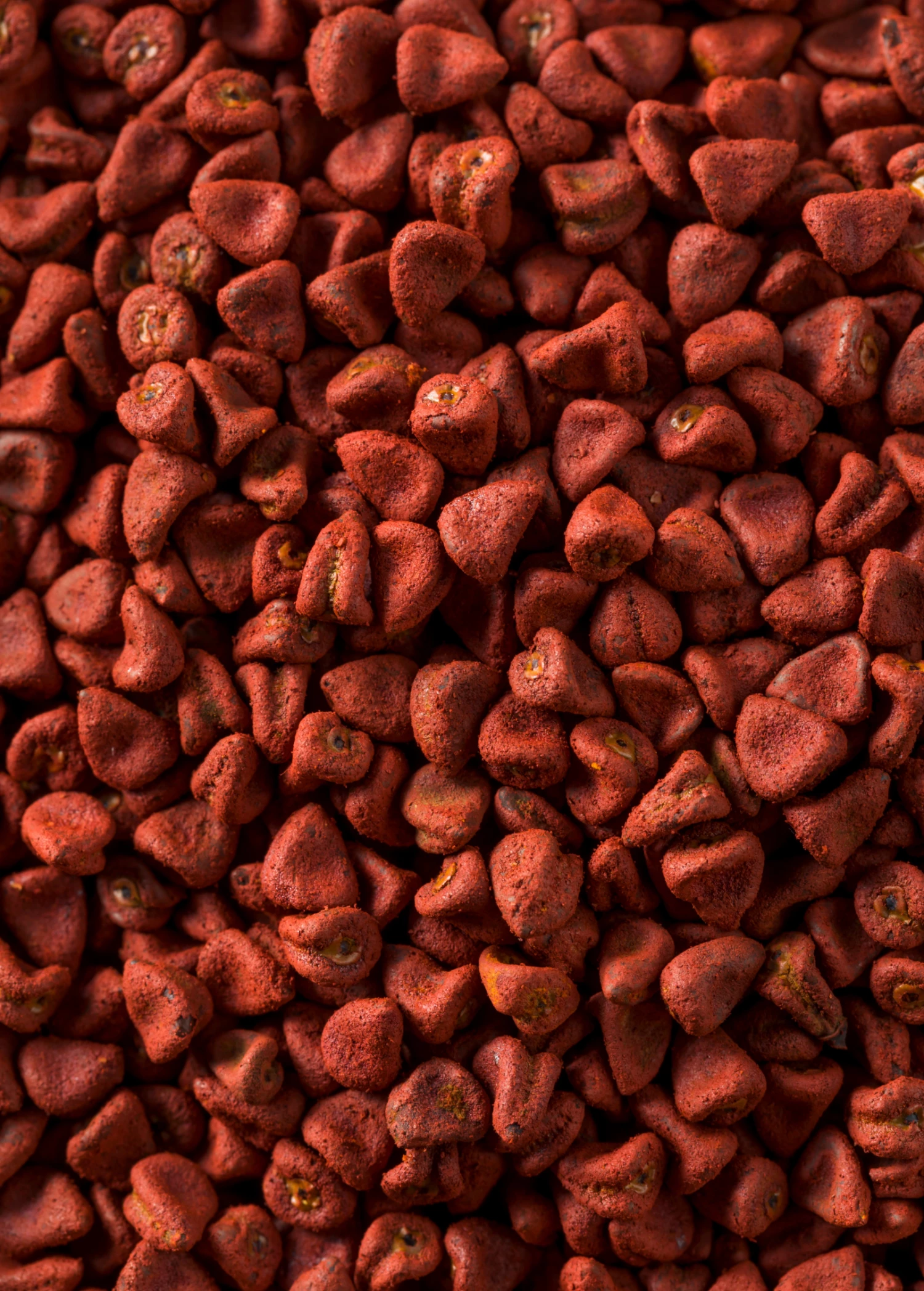 Annatto Achiote (Bixa Orellana) - Image 4