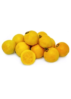 Brazilian Guava (Psidium Angulatum) 5 Brazilian Guava (Psidium Angulatum) -Garden Supplies Sales 2024 B13F962E 3043 45EA BC21 659242927E40