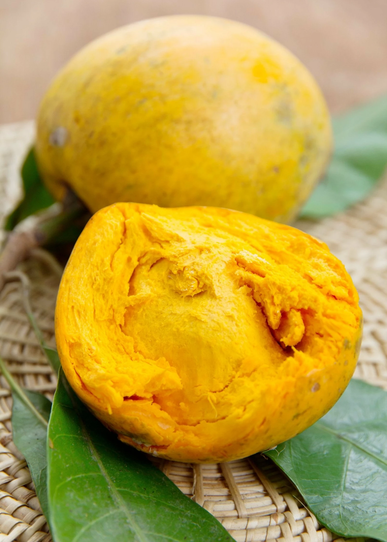 Canistel 'Arue' (Pouteria Campechiana) 1 Canistel 'Arue' (Pouteria Campechiana)