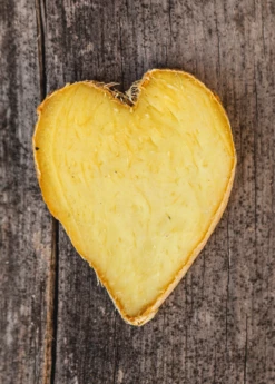 Ginger, Yellow (Zingiber Officinale) -Garden Supplies Sales 2024 Ginger Zingiber officinale root heart