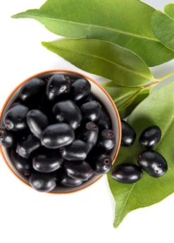 Jamun (Syzygium Cumini) -Garden Supplies Sales 2024 JamunTreesforsale SowExotic.com 1