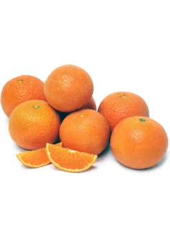 Page Mandarin (Citrus Reticulata 'Page')