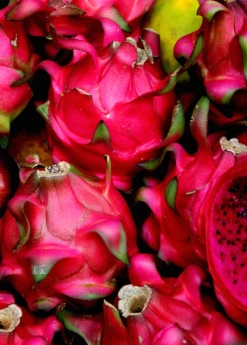 Dragon Fruit, Red 'Tricia' (Hylocereus Polyrhizus) -Garden Supplies Sales 2024 Red Dragon Fruit Tricia Hylocereus costaricensis