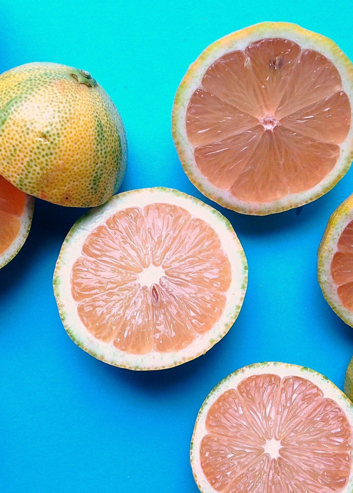 Variegated Pink Lemon (Citrus × Limon) 1 Variegated Pink Lemon (Citrus × Limon)