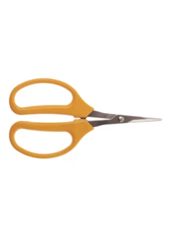 Stainless Grape Scissors