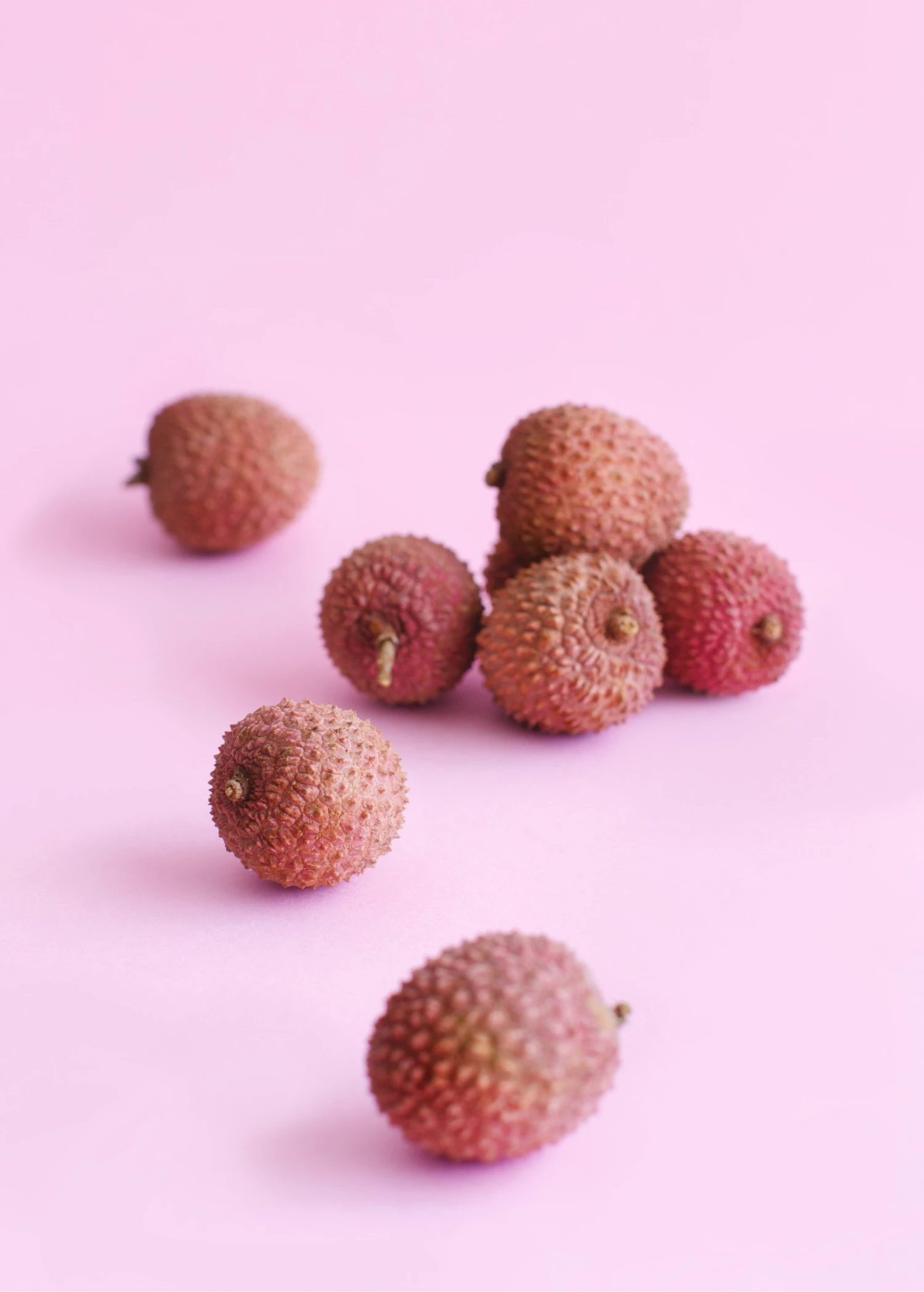 Lychee 'Brewster' (Litchi Chinensis) 2 Lychee 'Brewster' (Litchi Chinensis) - Image 2