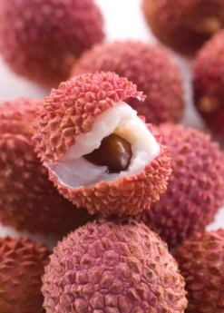 Lychee 'Brewster' (Litchi Chinensis) 5 Lychee 'Brewster' (Litchi Chinensis) -Garden Supplies Sales 2024 Sow Exotic Plant Nursery lychee 1