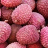 Lychee 'Sweetheart' (Litchi Chinensis)