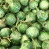 Thai Eggplant (Solanum Melongena)