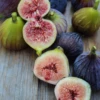 Fig 'Violete De Bordeaux' (Ficus Carica)