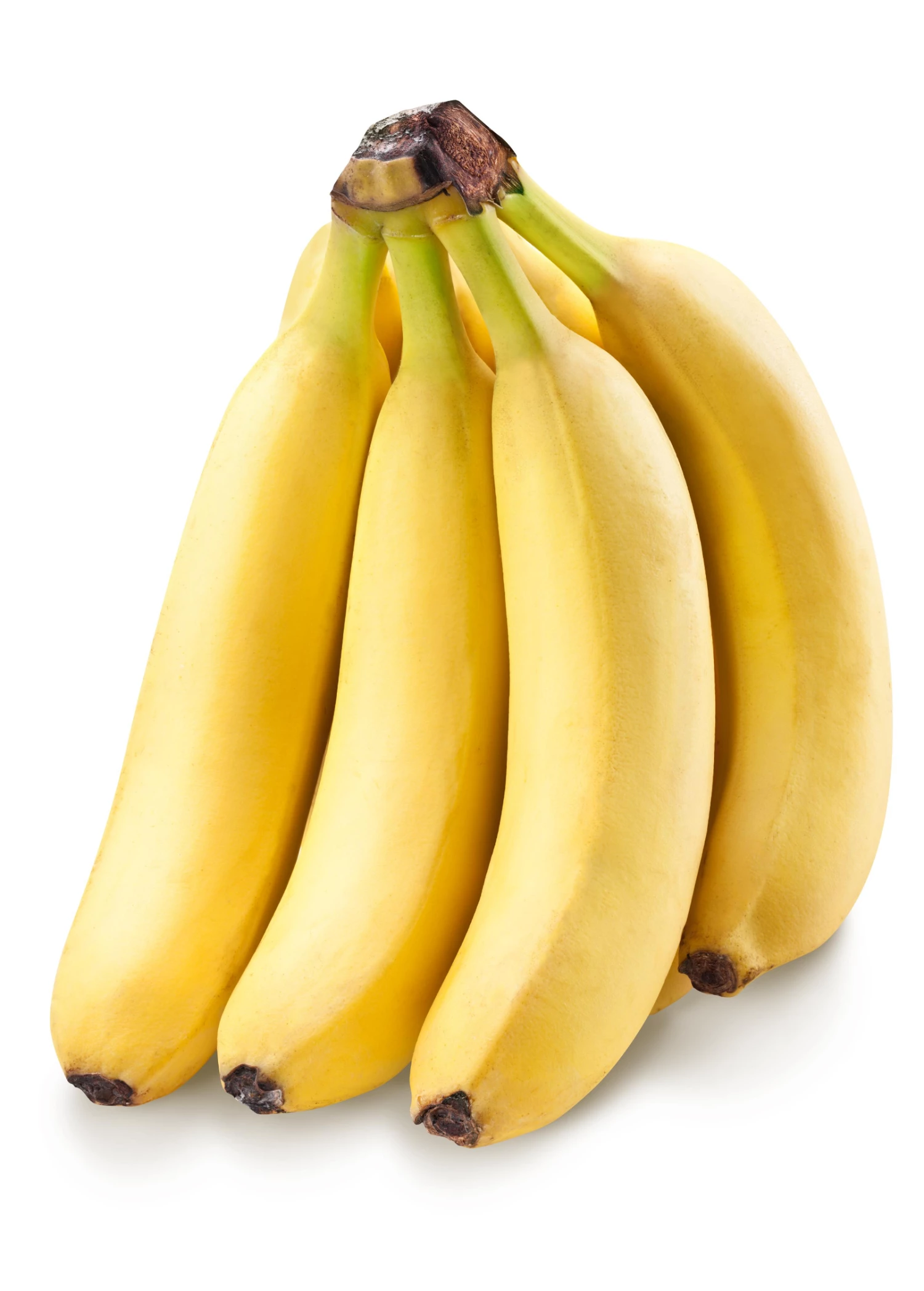 Banana 'Grand Nain' (Musa Acuminata) 2 Banana 'Grand Nain' (Musa Acuminata) - Image 2