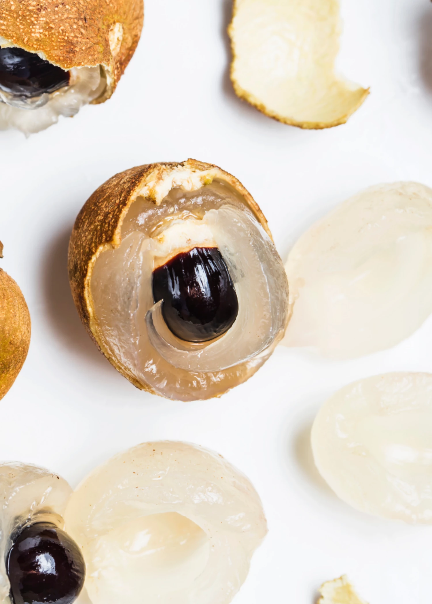 Longan, 'Biew Kiew' (Dimocarpus Longan) 2 Longan, 'Biew Kiew' (Dimocarpus Longan) - Image 2