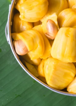 Jackfruit 'Crunchy' (Artocarpus Heterophyllus) -Garden Supplies Sales 2024 crunchjackfruitfruittreeliveplantforsalesowexotic