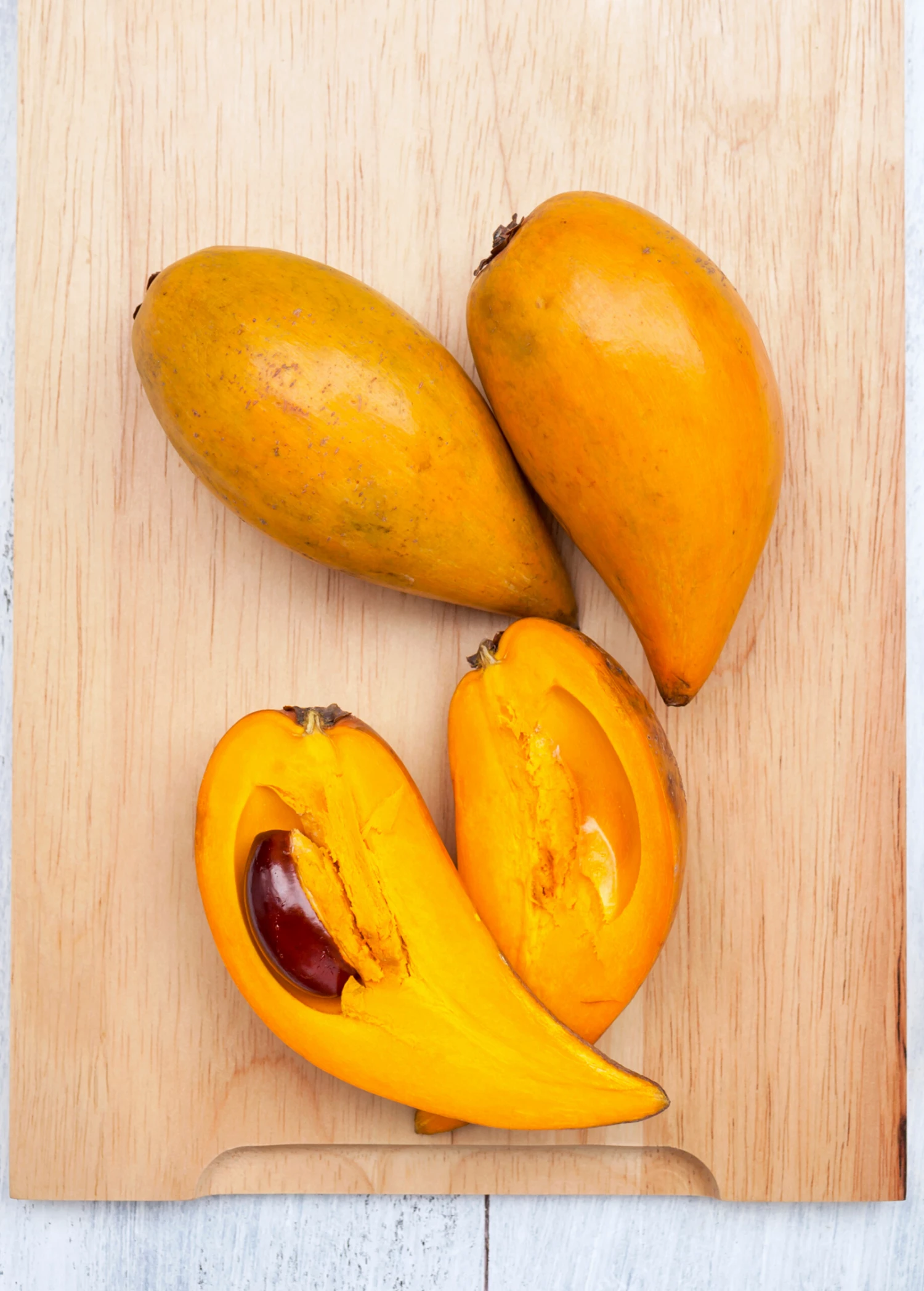 Canistel 'Fairchild #2' (Pouteria Campechiana) 1 Canistel 'Fairchild #2' (Pouteria Campechiana)