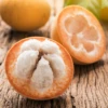 Santol (Sandoricum Koetjape)