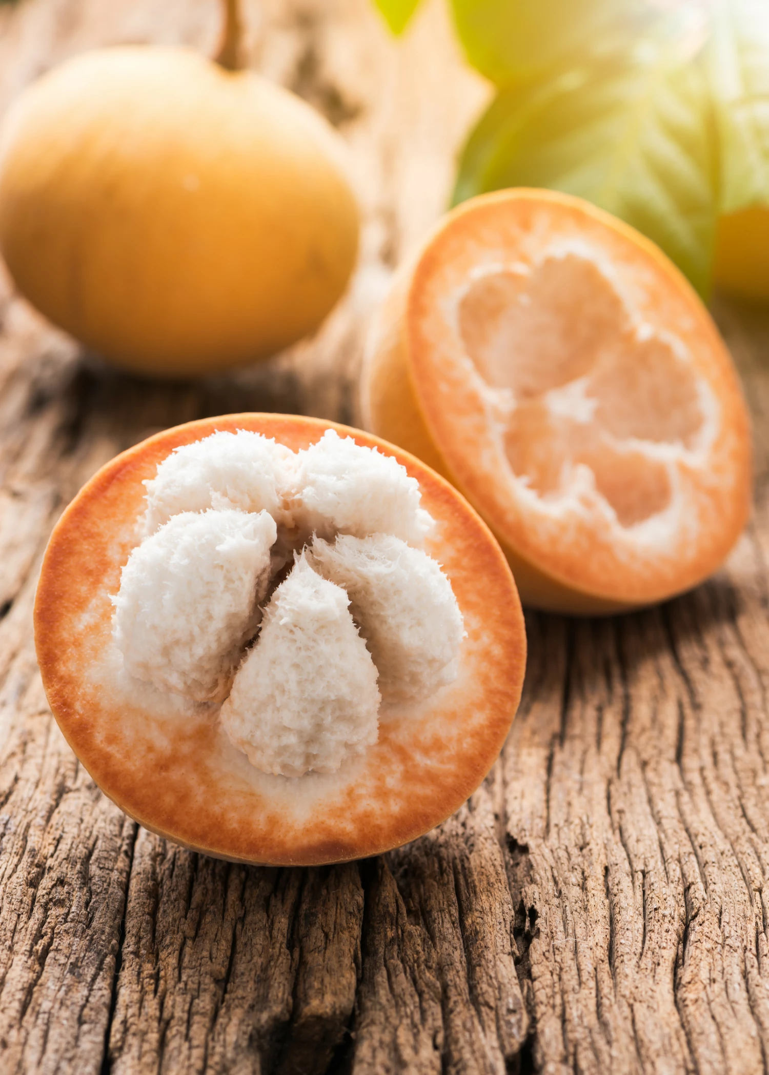 Santol (Sandoricum Koetjape) 1 Santol (Sandoricum Koetjape)