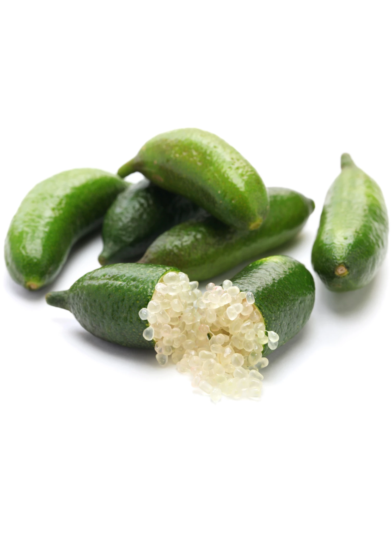 Green Finger Lime (Citrus Australasica) 1 Green Finger Lime (Citrus Australasica)