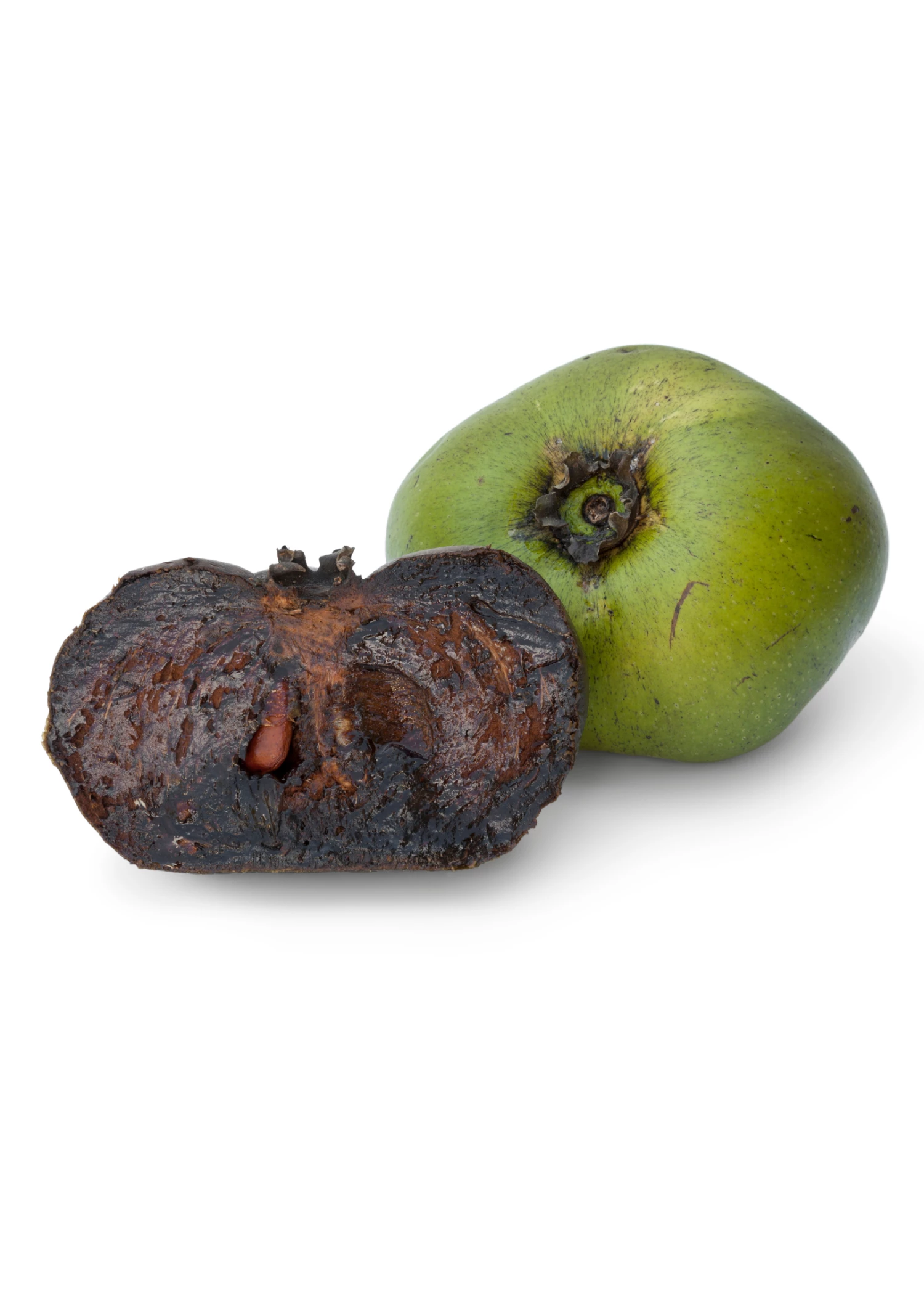 Black Sapote ‘Wilson’ (Diospyros Nigra) 2 Black Sapote ‘Wilson’ (Diospyros Nigra) - Image 2