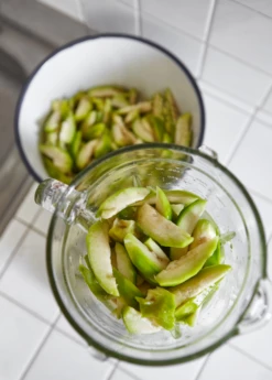 June Plum (Spondias Dulcis) -Garden Supplies Sales 2024 juneplymsowexotic 3