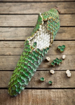 Monstera Deliciosa, Swiss Cheese Plant 12 Monstera Deliciosa, Swiss Cheese Plant -Garden Supplies Sales 2024 monsteraplantforsalesowexotic