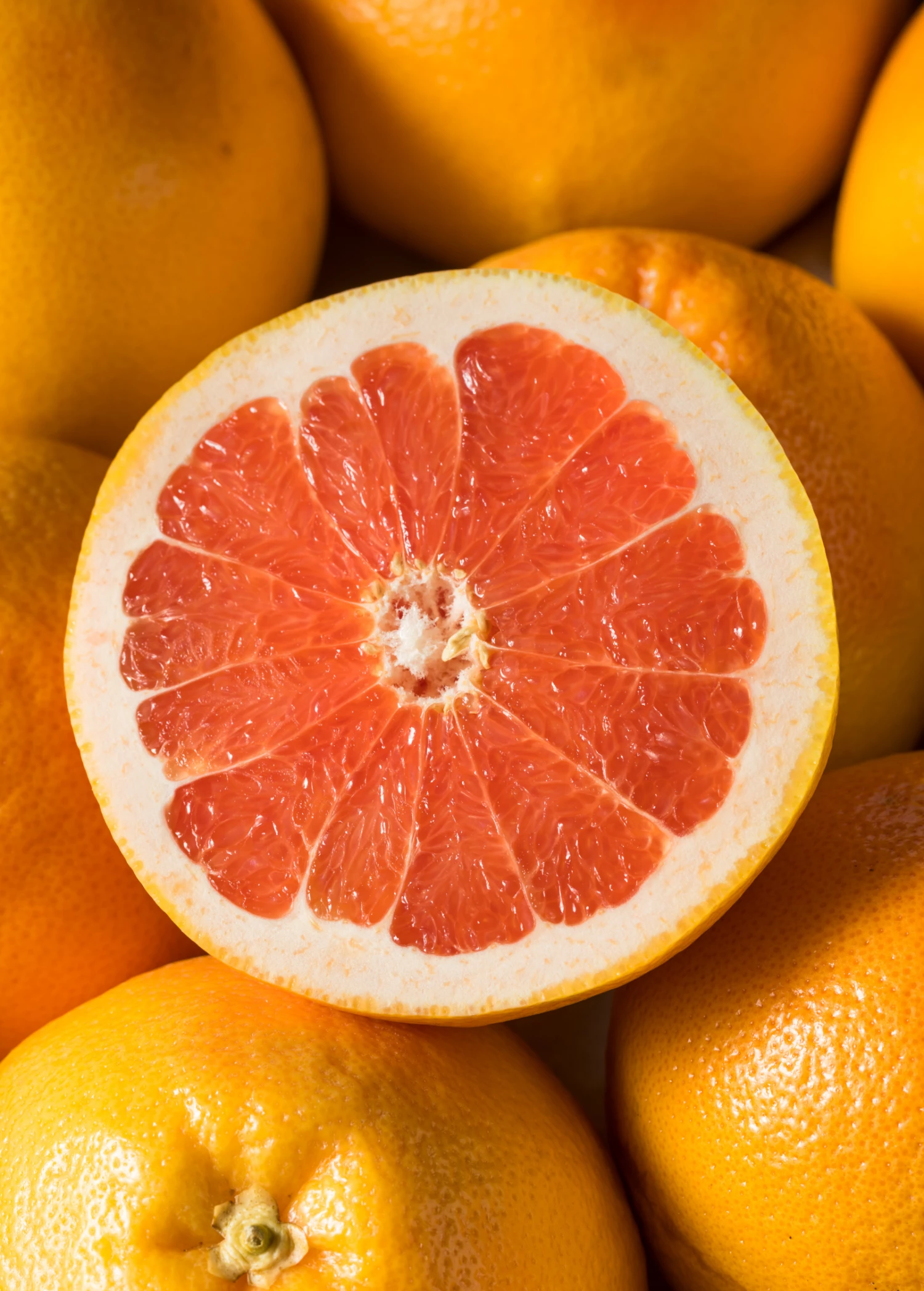 Ruby Red Grapefruit (Citrus × Paradisi) 1 Ruby Red Grapefruit (Citrus × Paradisi)