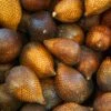 Snake Fruit (Salacca Zalacca)