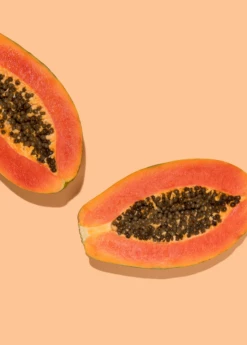 Papaya, 'Dwarf Red Lady' (Carica Papaya) -Garden Supplies Sales 2024 sowexoticpapaya 1