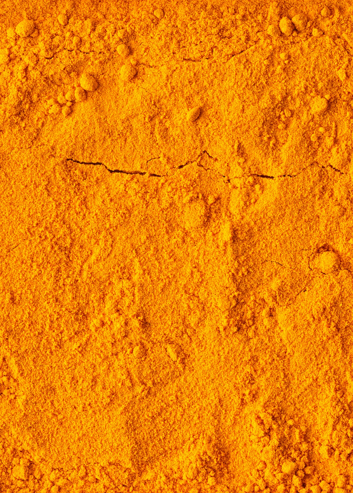Turmeric, Orange (Curcuma Longa) 6 Turmeric, Orange (Curcuma Longa) - Image 6